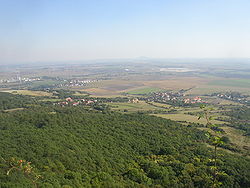Jenčice