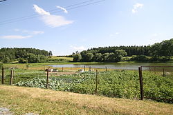 Kojatín