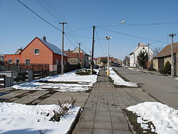 Dřínov