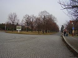Lidice