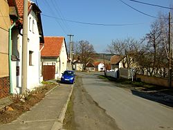 Vinařice
