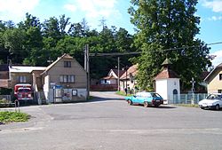 Bavoryně