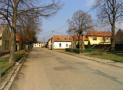 Křenek