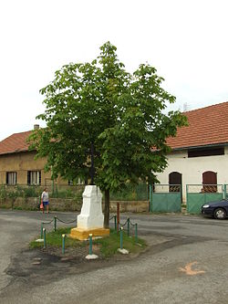 Bílichov