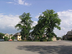 Jivina