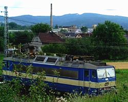 Lukavice