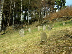 Ošelín