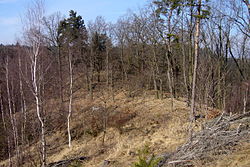 Oráčov