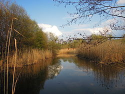 Střítež nad Bečvou