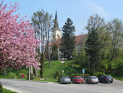 Zubří