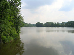 Buková