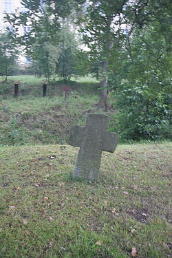 Lampertice