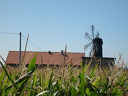 Hačky