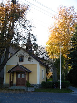 Pstruží