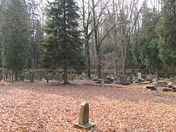 Puclice