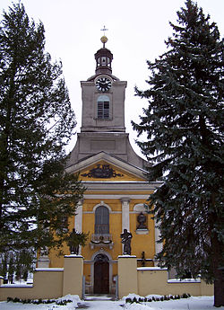 Ropice