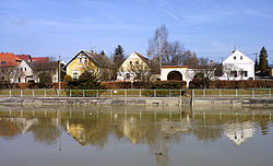 Druztová