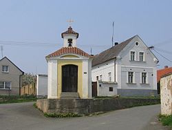 Plešnice