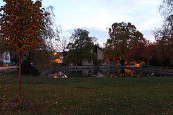 Vejvanov