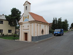 Úpohlavy