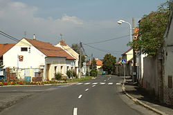 Židovice
