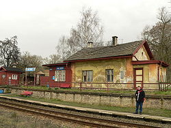 Deštnice