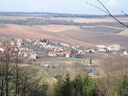 Vinařice