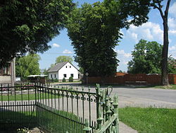 Lípa