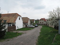Lovčice