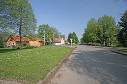 Lány u Dašic