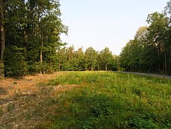 Křičeň