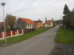 Spojil