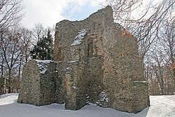 Svojšice