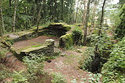 Olešnice