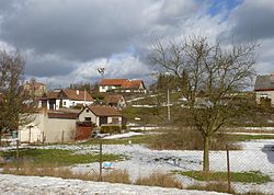Janov