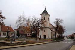 Šakvice