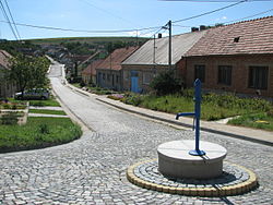 Stavěšice