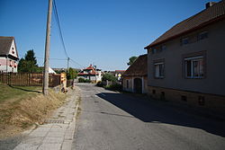 Kojatice