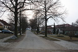 Třebenice