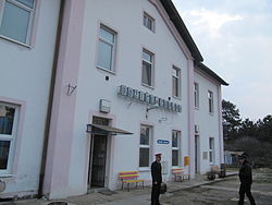 Božice