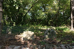 Jiřice u Miroslavi