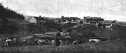 Vysočany