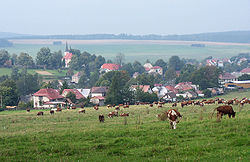 Herálec