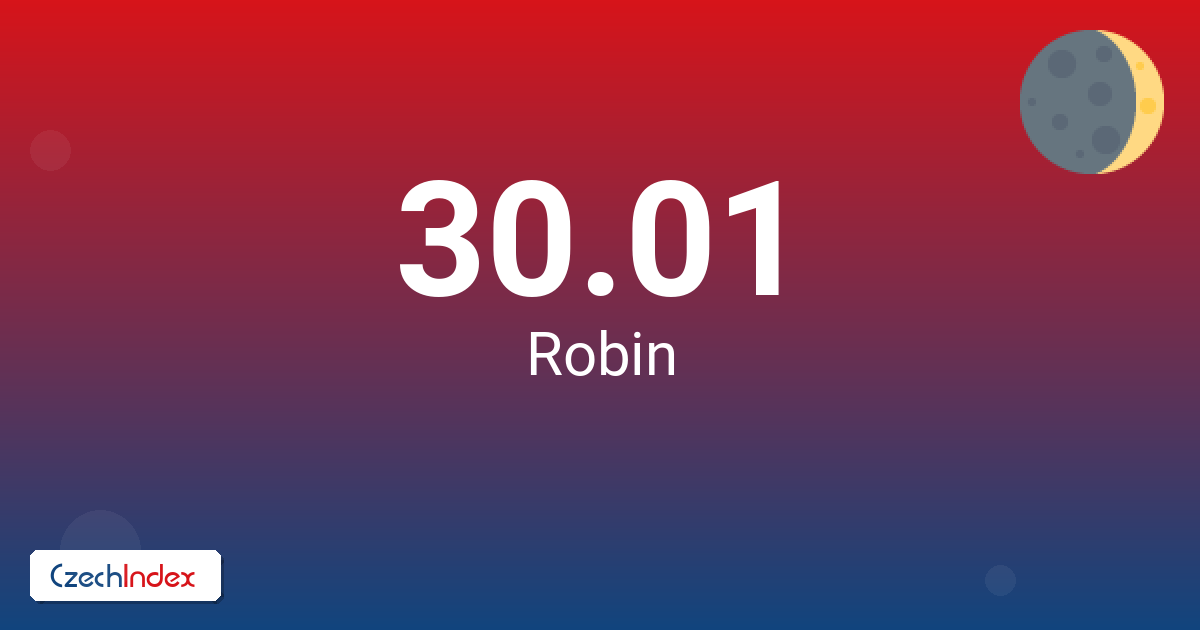 30-01 Robin